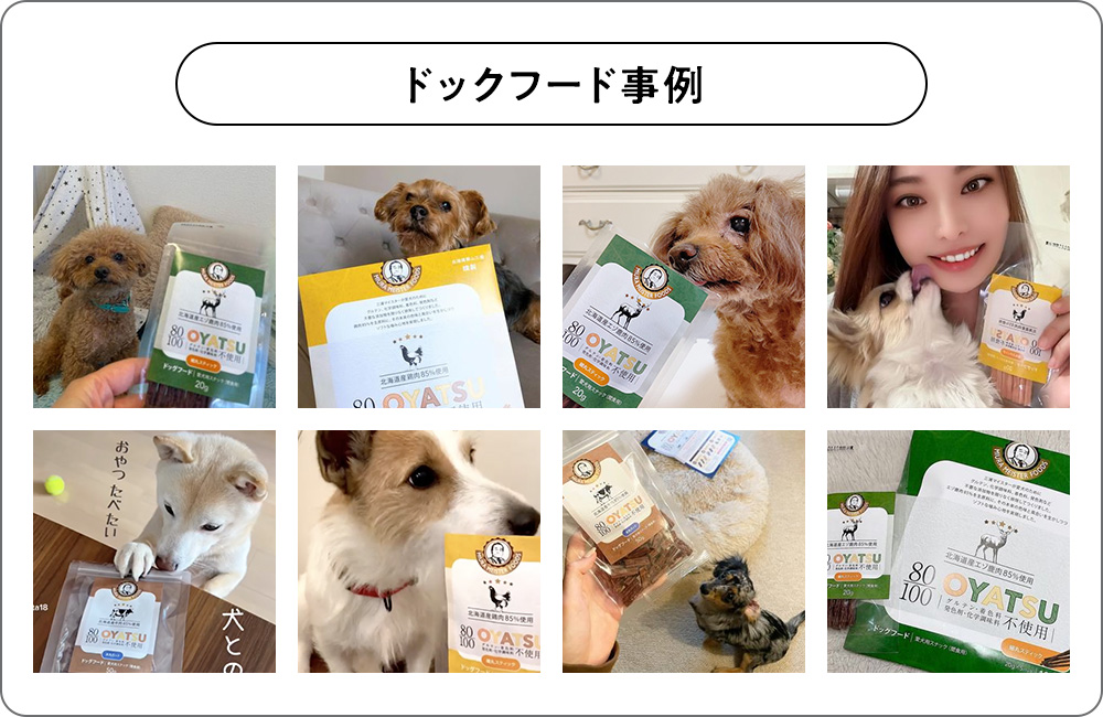 ドックフード事例